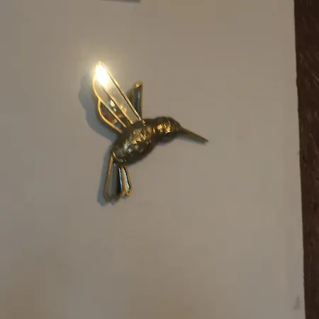 Couette-café D'hôtes Colibri 4*